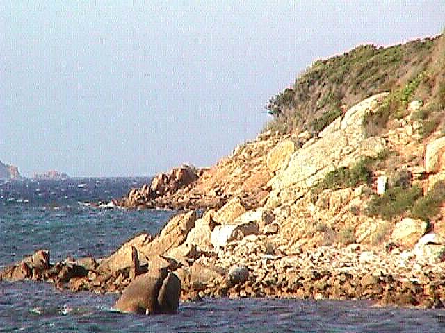 Image de Bonifacio 1998