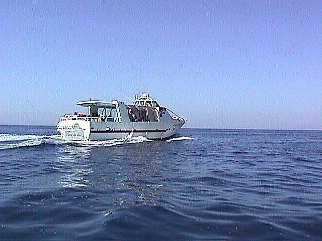 Image de Bonifacio 1998