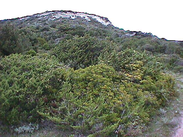 Image de Bonifacio 1999