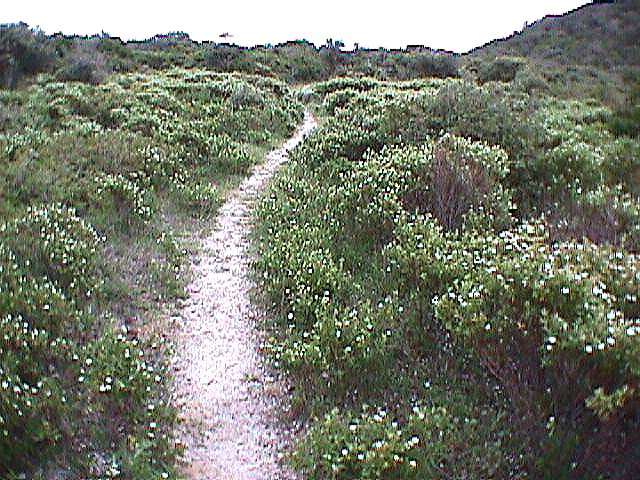Image de Bonifacio 1999