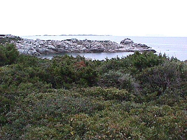 Image de Bonifacio 1999