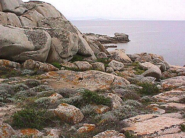 Image de Bonifacio 1999