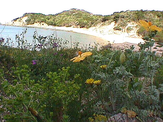 Image de Bonifacio 1999