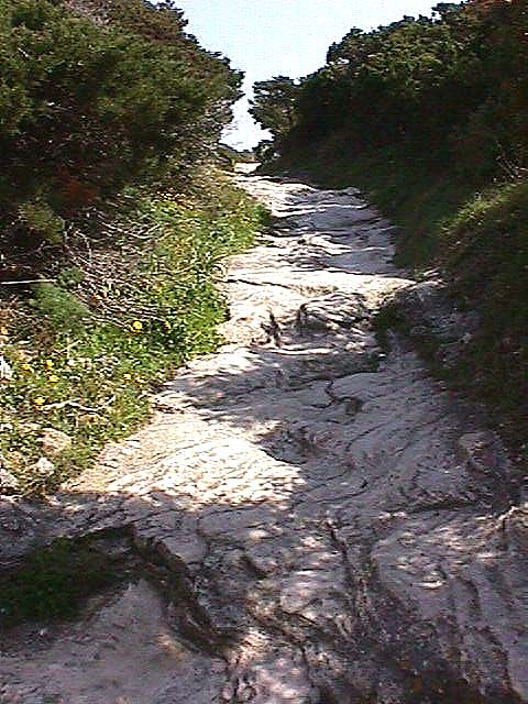 Image de Bonifacio 1999