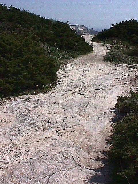 Image de Bonifacio 1999
