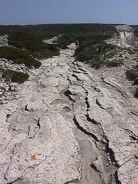 Image de Bonifacio 1999