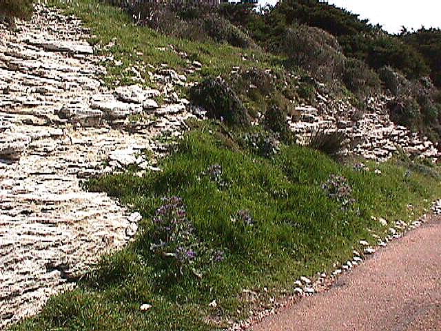 Image de Bonifacio 1999