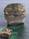 Image de Bonifacio durant l'anne 1999