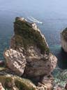 Image de Bonifacio durant l'anne 1999