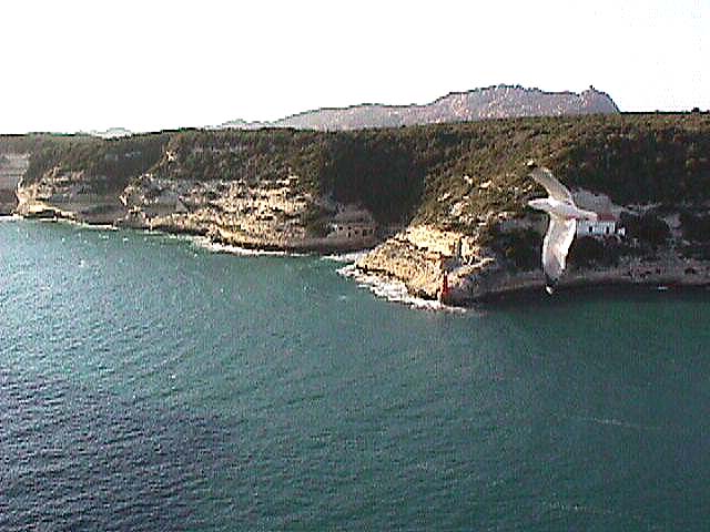 Image de Bonifacio 1999