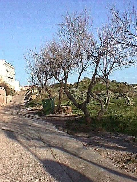 Image de Bonifacio 1999