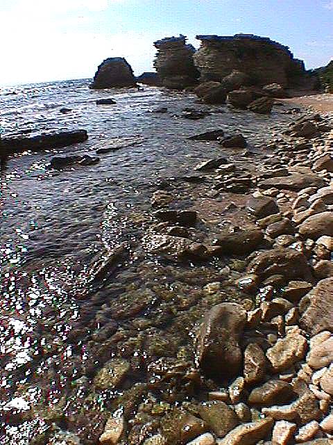 Image de Bonifacio 1999