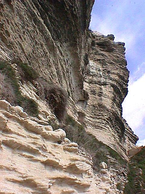 Image de Bonifacio 1999
