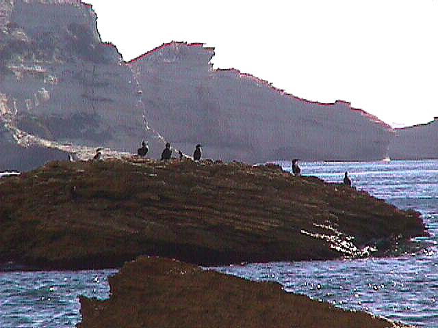 Image de Bonifacio 1999