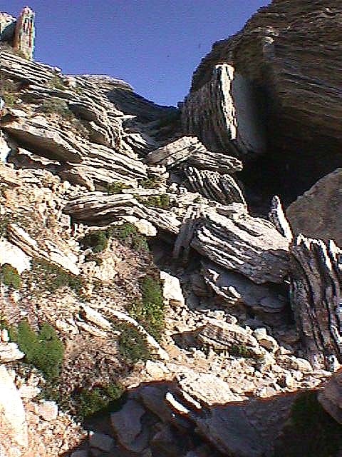Image de Bonifacio 1999