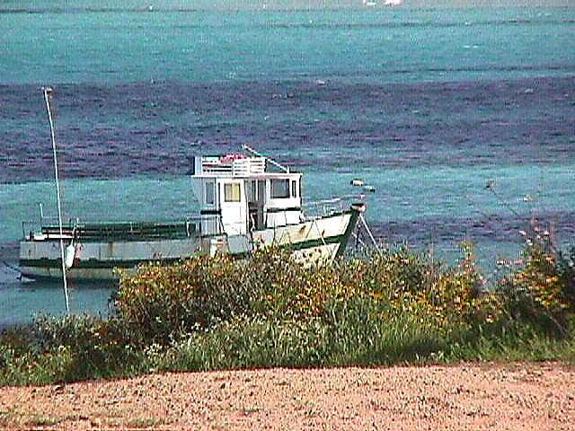 Image de Bonifacio 1999