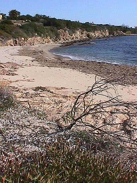 Image de Bonifacio 1999