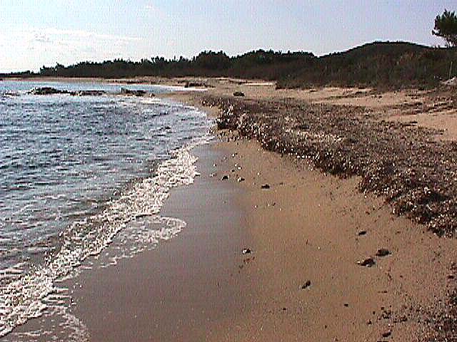 Image de Bonifacio 1999