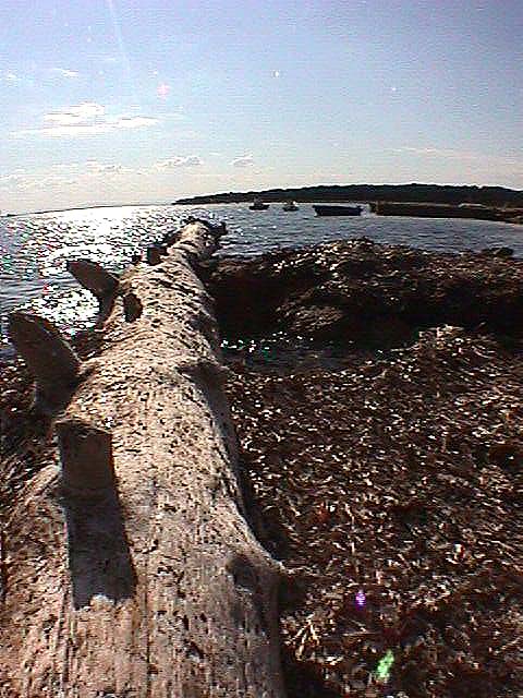Image de Bonifacio 1999
