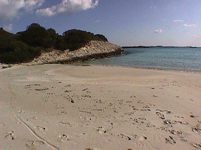 Image de Bonifacio 1999
