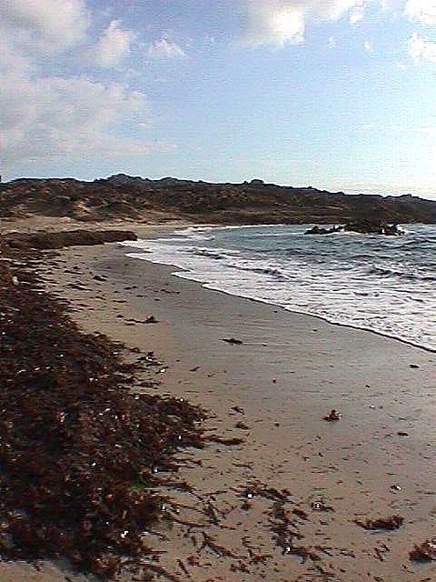 Image de Bonifacio 1999