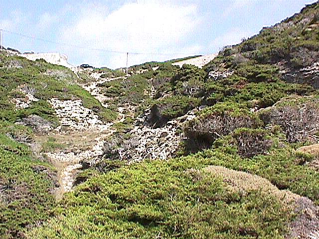 Image de Bonifacio 1999