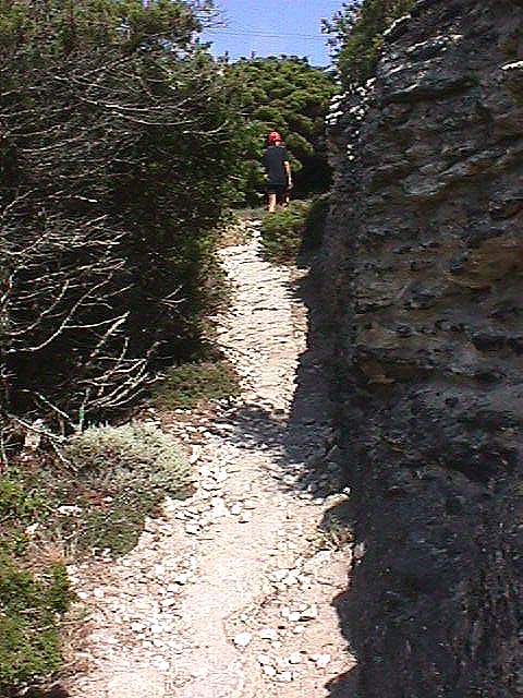 Image de Bonifacio 1999