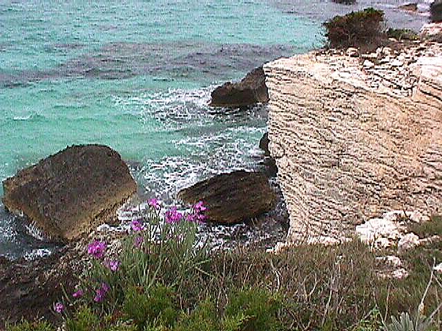 Image de Bonifacio 1999