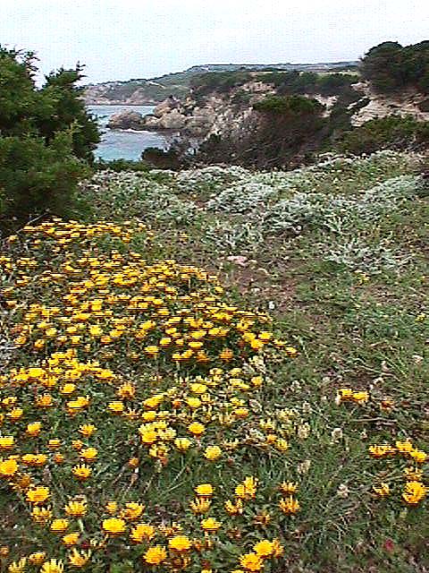 Image de Bonifacio 1999