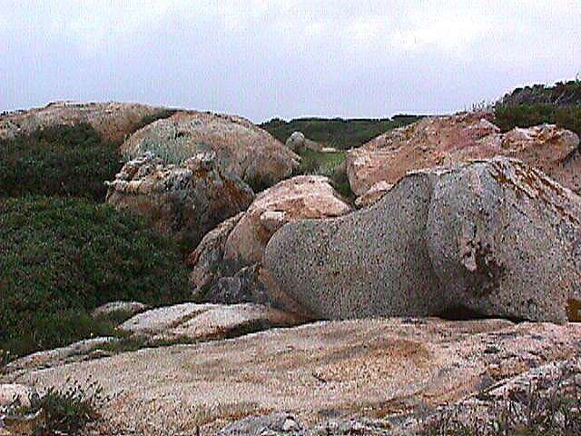 Image de Bonifacio 1999