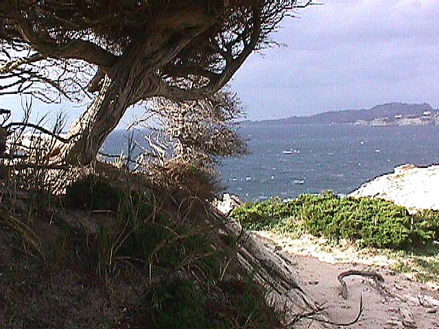 Image de Bonifacio 1999