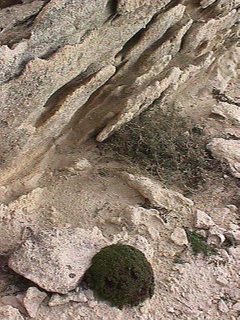 Image de Bonifacio 1999