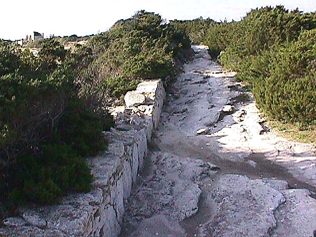 Image de Bonifacio 1999