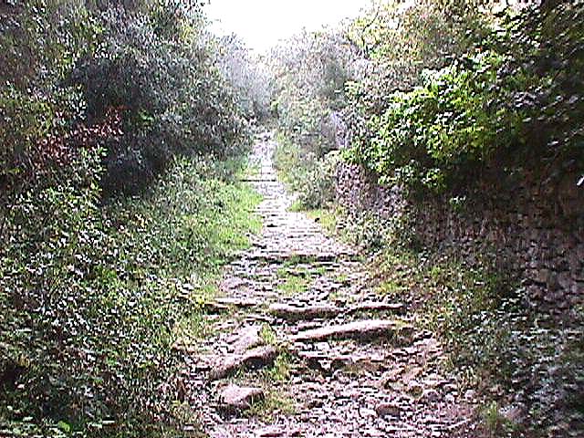 Image de Bonifacio 1999