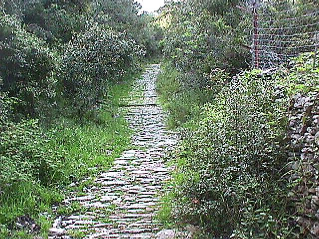 Image de Bonifacio 1999