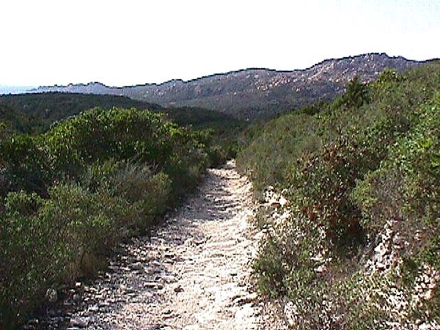 Image de Bonifacio 1999