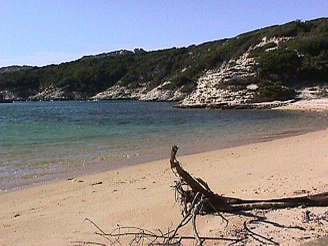 Image de Bonifacio 1999