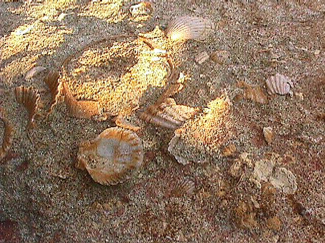 Image de Bonifacio 1999