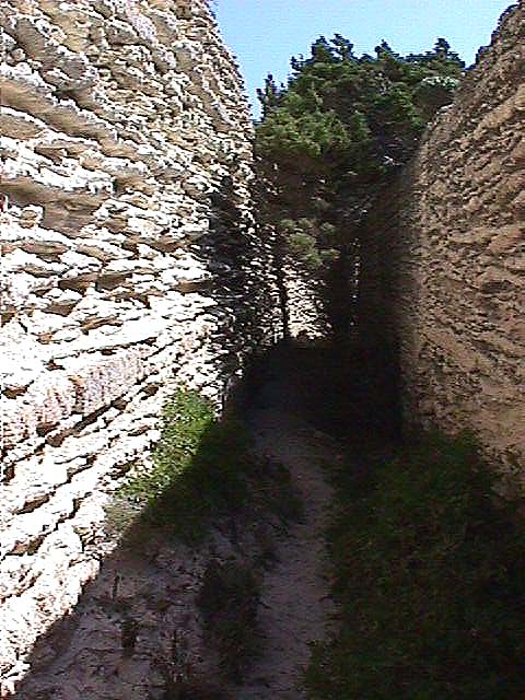 Image de Bonifacio 1999